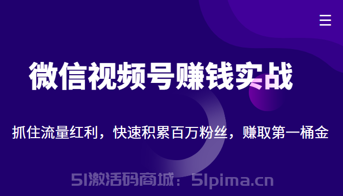 微信視頻號賺錢實戰(zhàn)：抓住流量紅利，快速積累百萬粉絲，賺取你的第一桶金[新媒體運營]