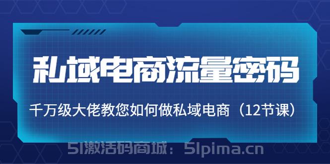 私域電商流量密碼：千萬級大佬教您如何做私域電商（12節(jié)課）[網(wǎng)絡營銷]