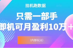 掛機數跑據，只需一部手機即可月盈利10萬＋（內部玩法）價值4988元